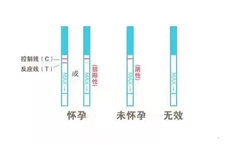 怀孕试纸什么时候用？怀孕试纸测试结果准确吗？.jpg