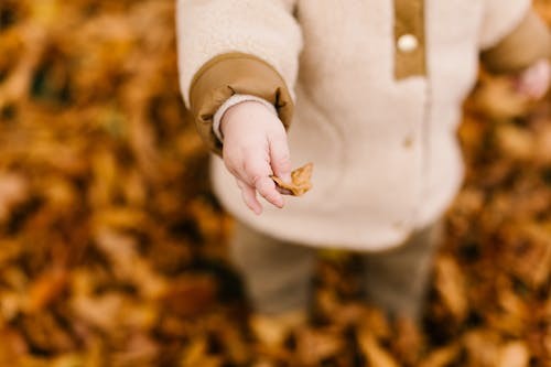  怀孕的前面孕妈怎样知道男孩女孩？有什么方法能检测宝宝性别？