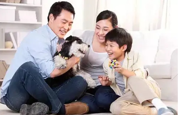  孕妇吃什么东西比较有营养？怎么补充叶酸？