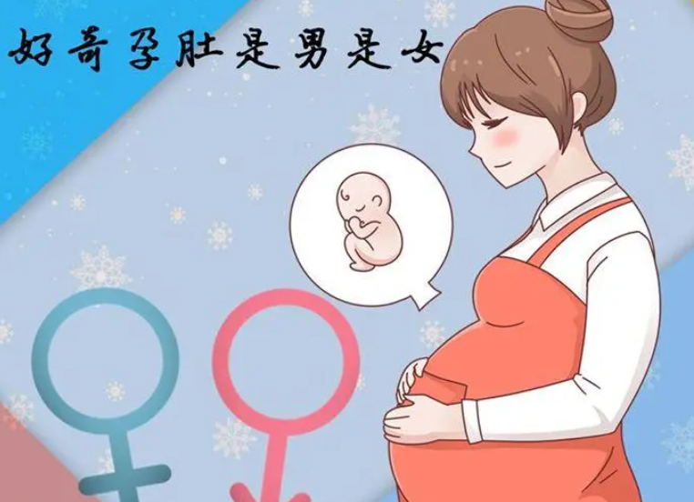  查男孩女孩最佳时间是什么时候？辨别男女性别的方法有哪些？