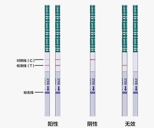  一条深一条很浅是怀孕了吗？可以相信验孕棒的检测结果吗？