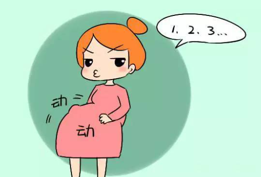  男女胎儿的决定是什么?