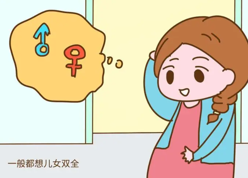  如何在怀孕初期区分男孩和女孩?胎儿的性别特征是什么?