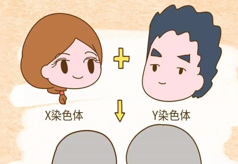  刚怀孕怎么认识男生女生?怀孕生男女有什么特点?