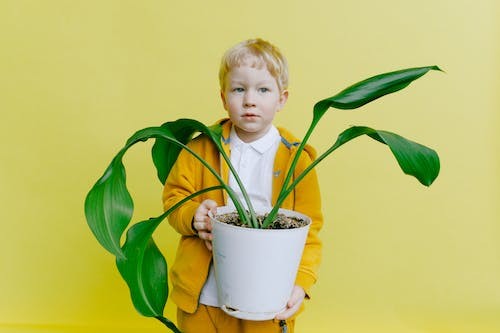  孕妇在怀孕期间检查男女是否准确